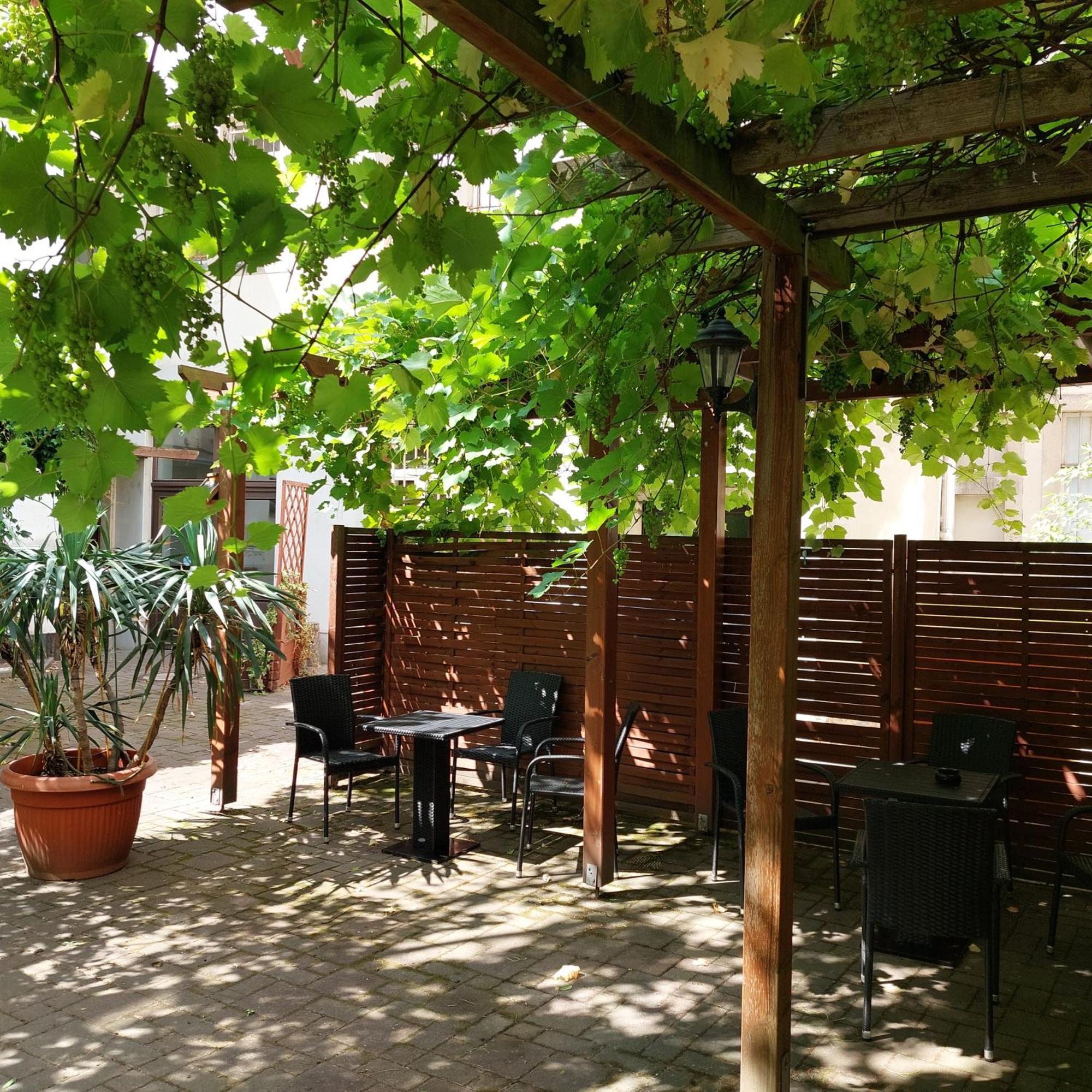Ferienwohnung Weisses Ross Pirna Extérieur photo
